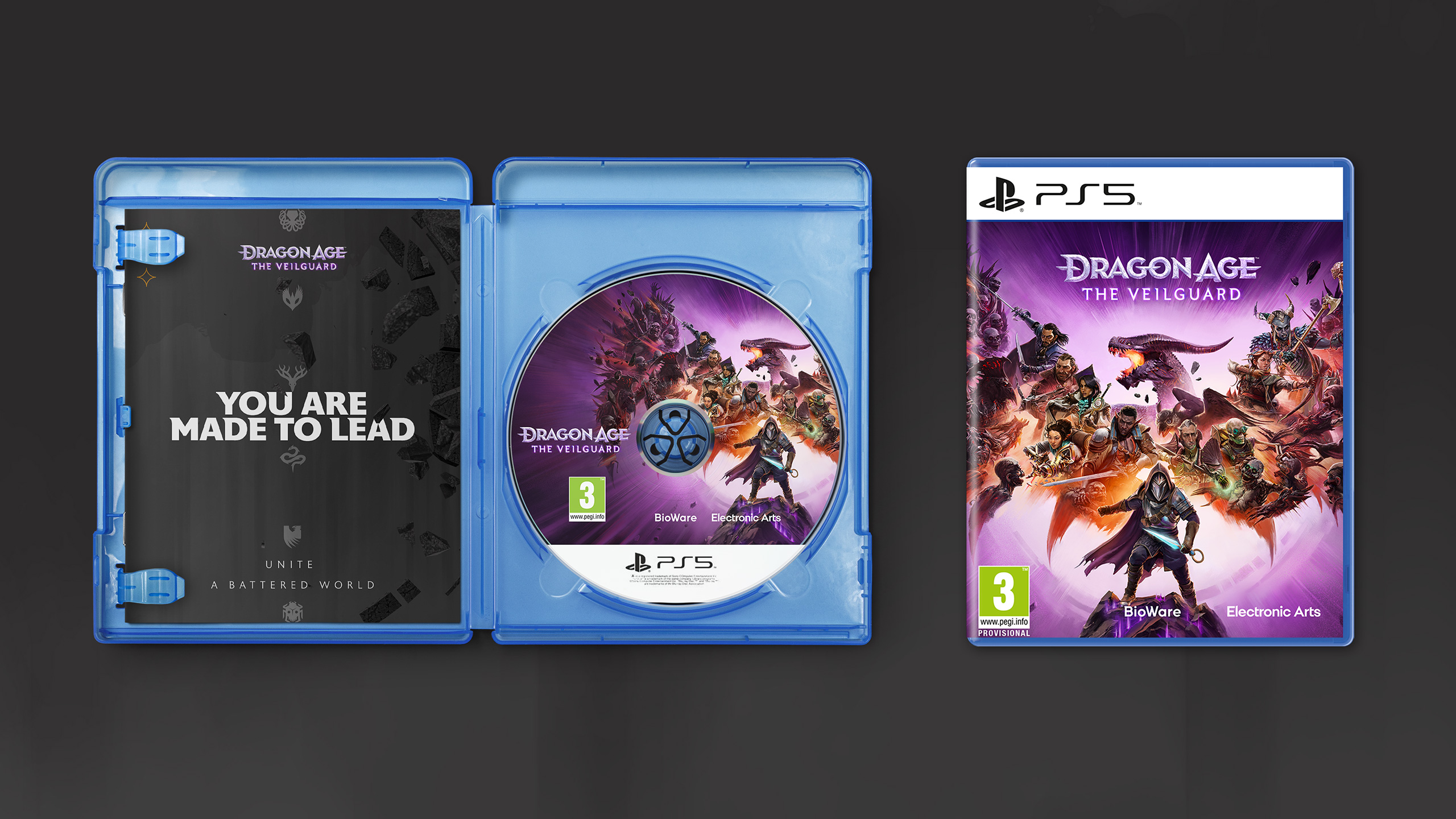 dragon_age_dw_packfront